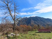 51 Bella vista in Alben con Cascinetto